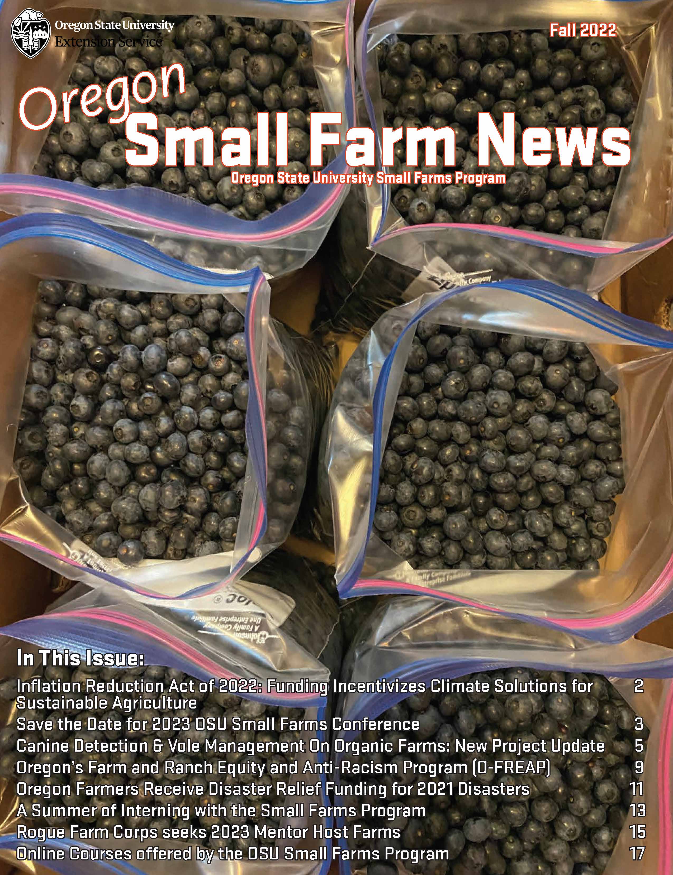 Newsletter Cover - photo of ziploc bag full of blueberries