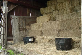 Low quality grass hay and protein tubs could provide a proper ration for some classes of livestock.