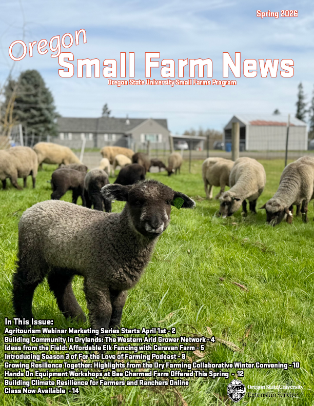 Spring Cover picture of lamb in foreground and ewes in background on pasture