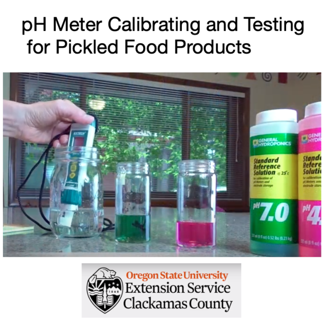 ph Meter demonstration