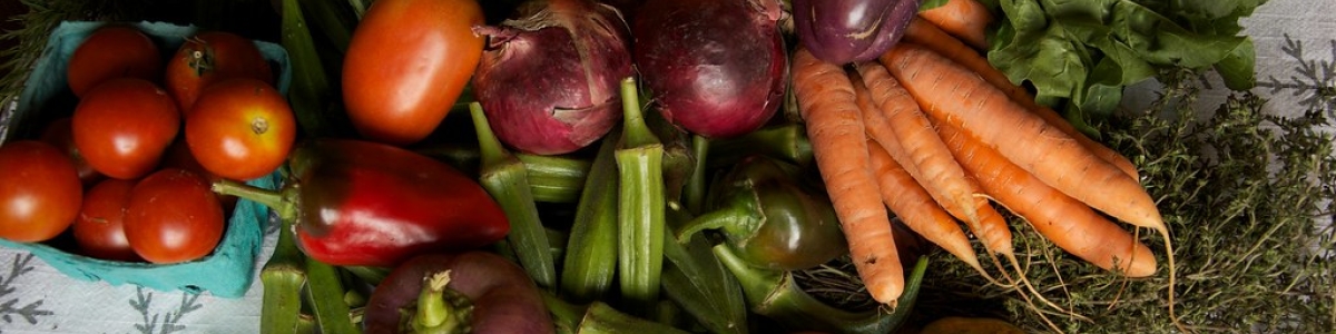 Photo of CSA vegetable share