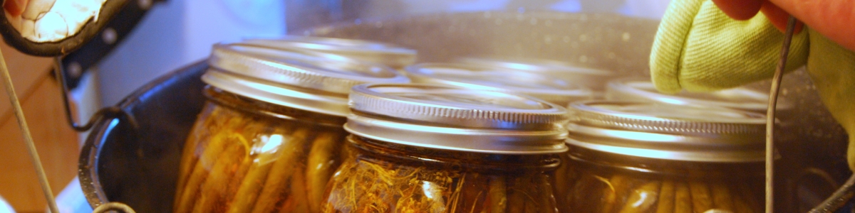 Photo of jars of dill beans in hot water bath