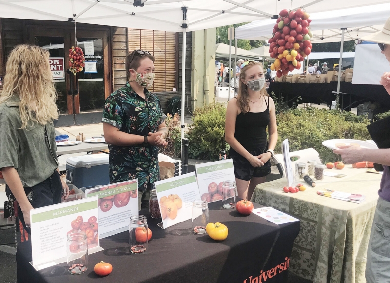 Oregon State University Dry Farming Project student research assistants Kelly Andrus, Asher Whitney and Meaghan Herlihy host a dry-farmed tomato tasting at the Corvallis Farmers Market.